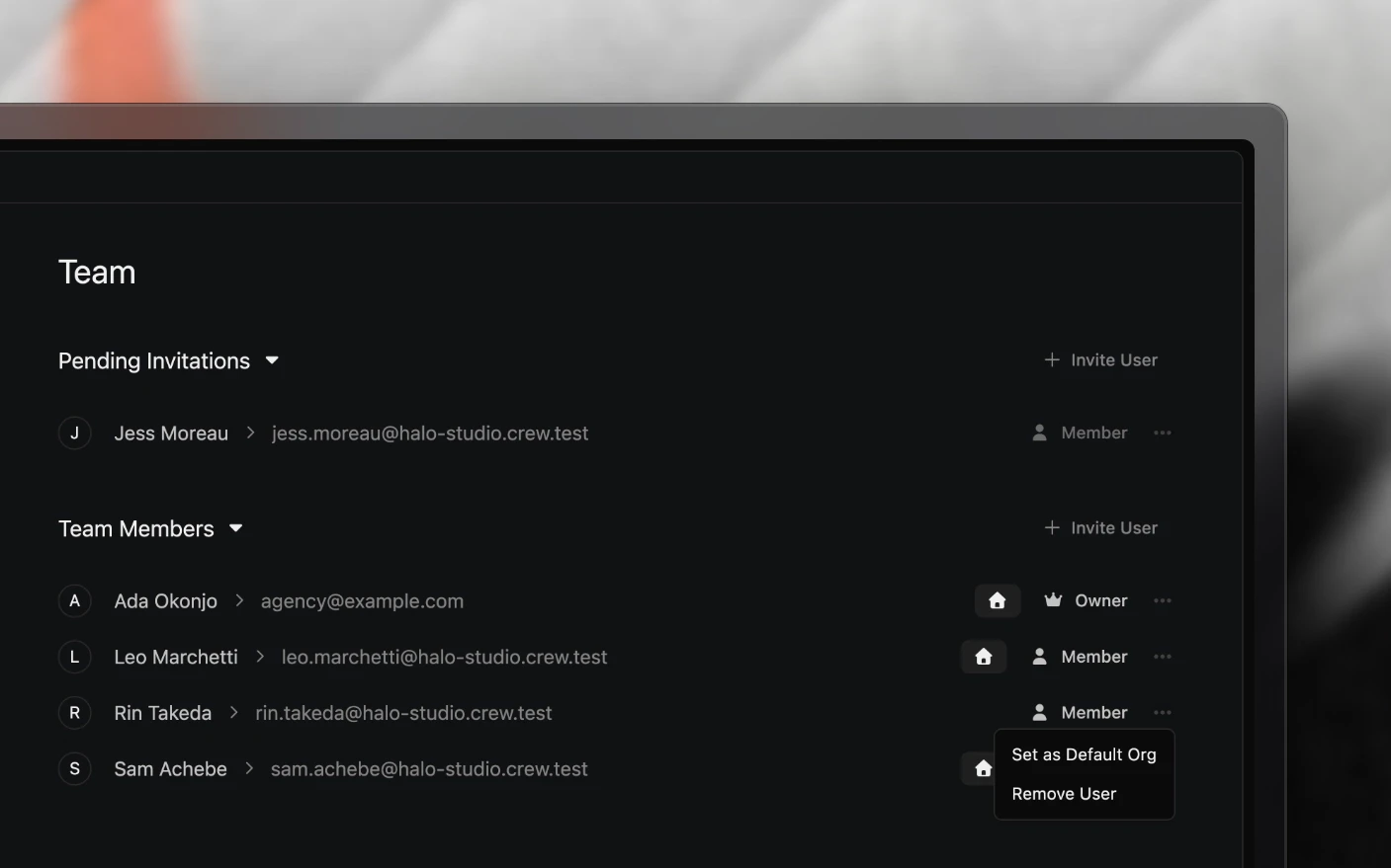 The agency's team list with the menu open on a teammate's row, showing Set as Default Org