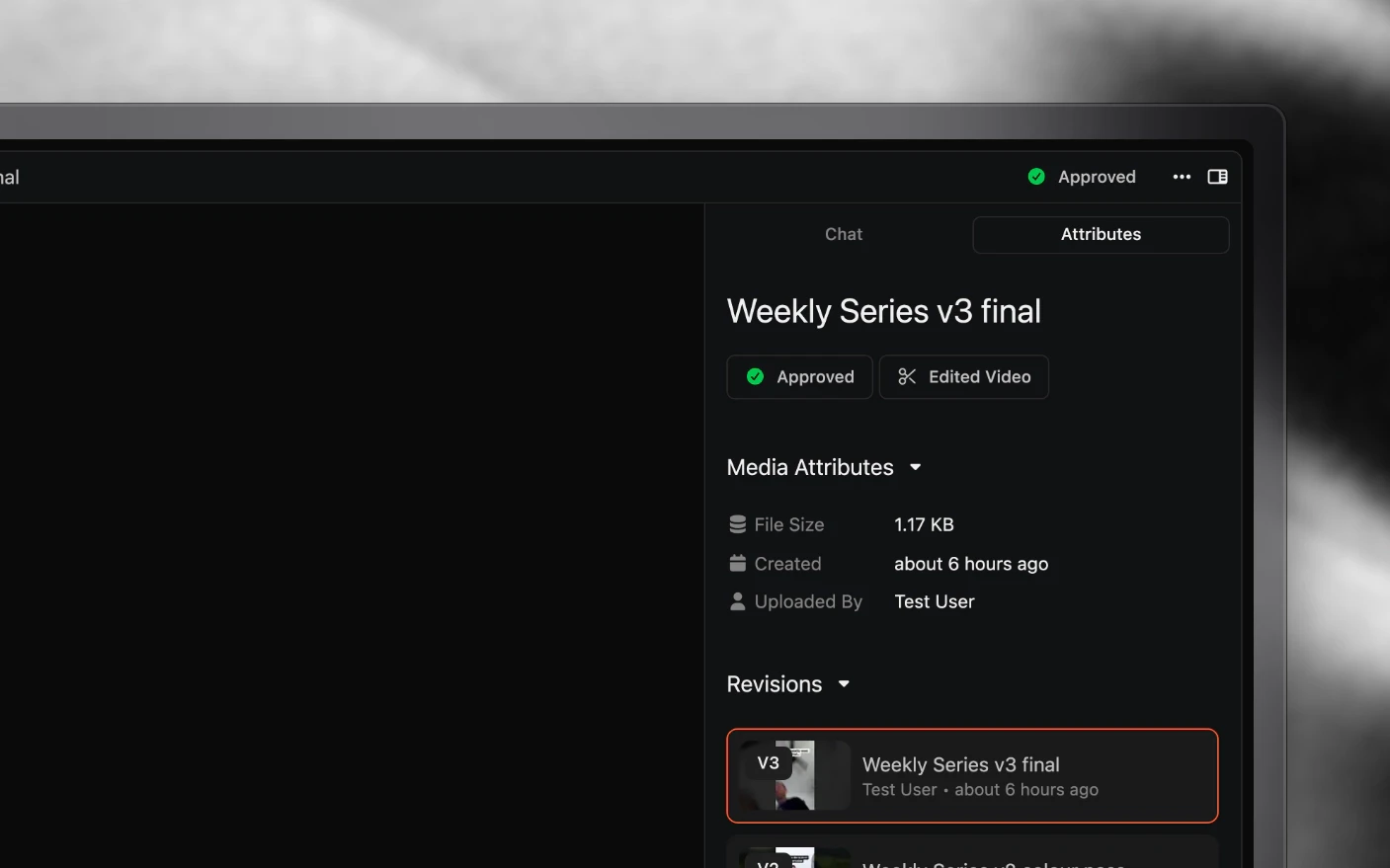 A media file open for review, with its versions listed in the attributes panel