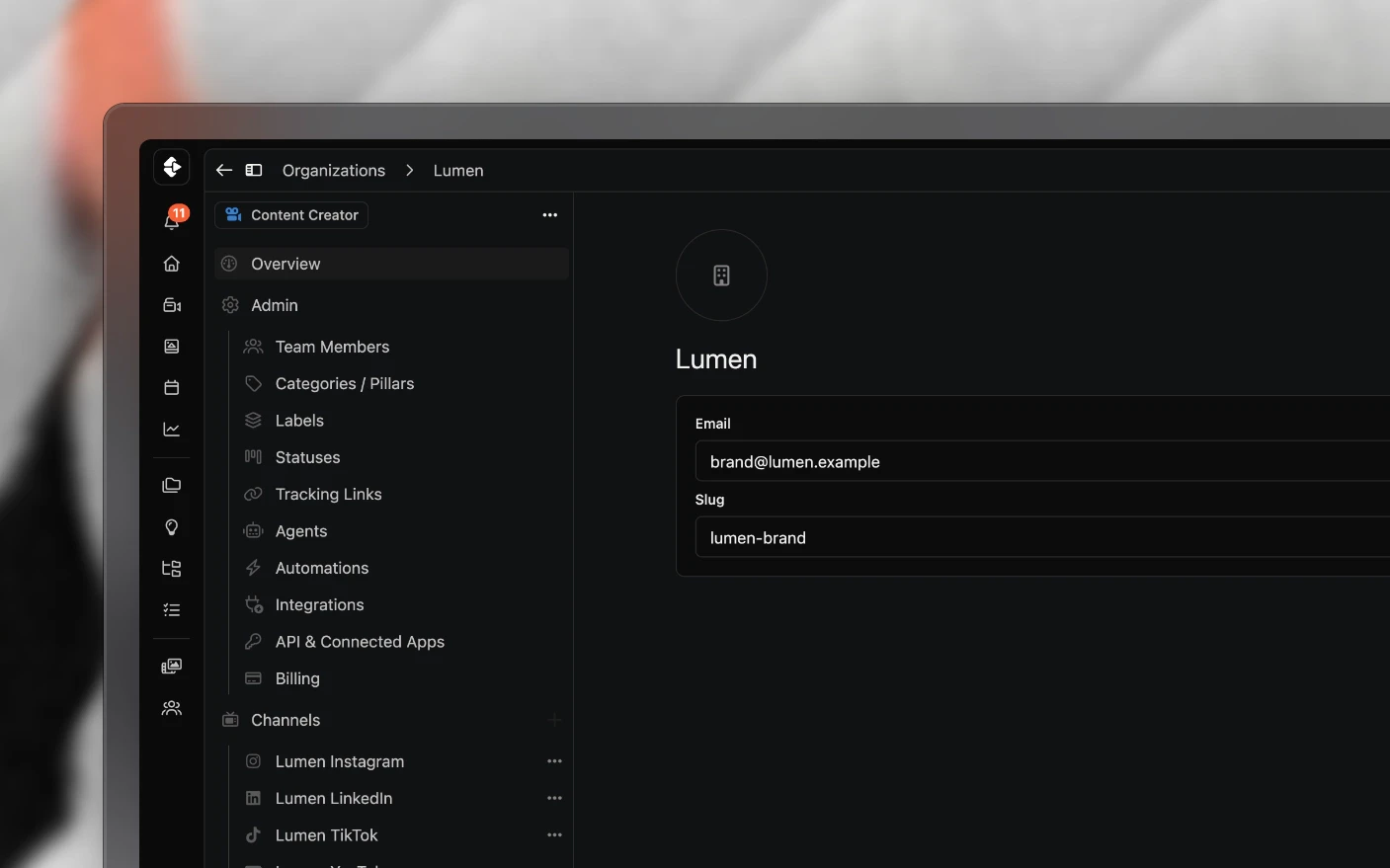Organization settings, with team, workflow, channels, templates and automations in the sidebar