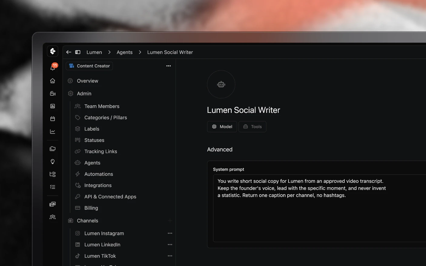 An agent's settings: its model, its system prompt and the tools it may use