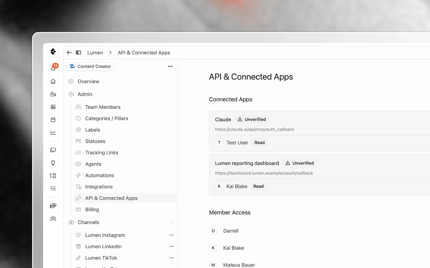 API and connected apps, where MCP connections are authorized and revoked