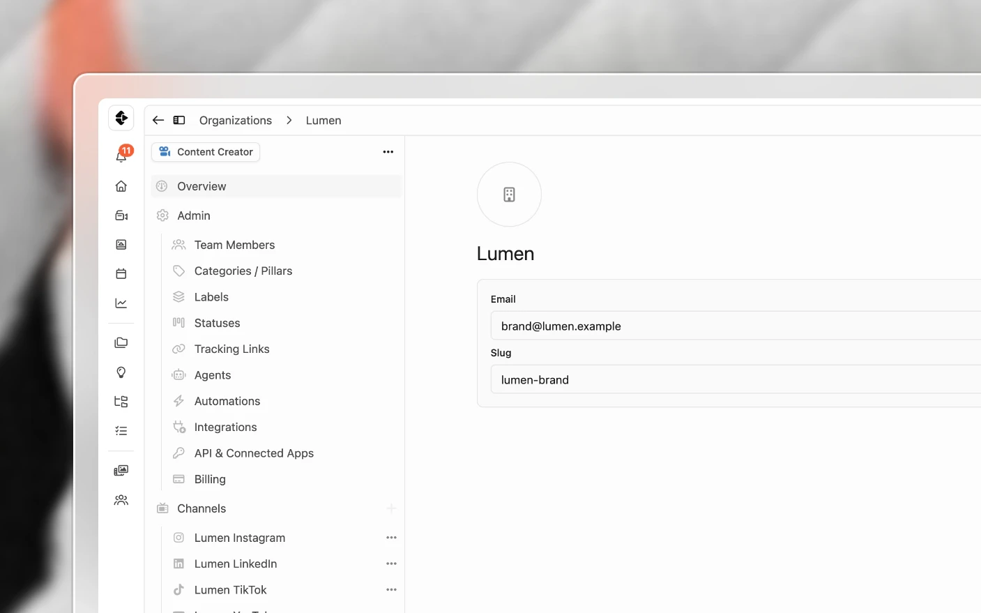 Organization settings, with team, workflow, channels, templates and automations in the sidebar