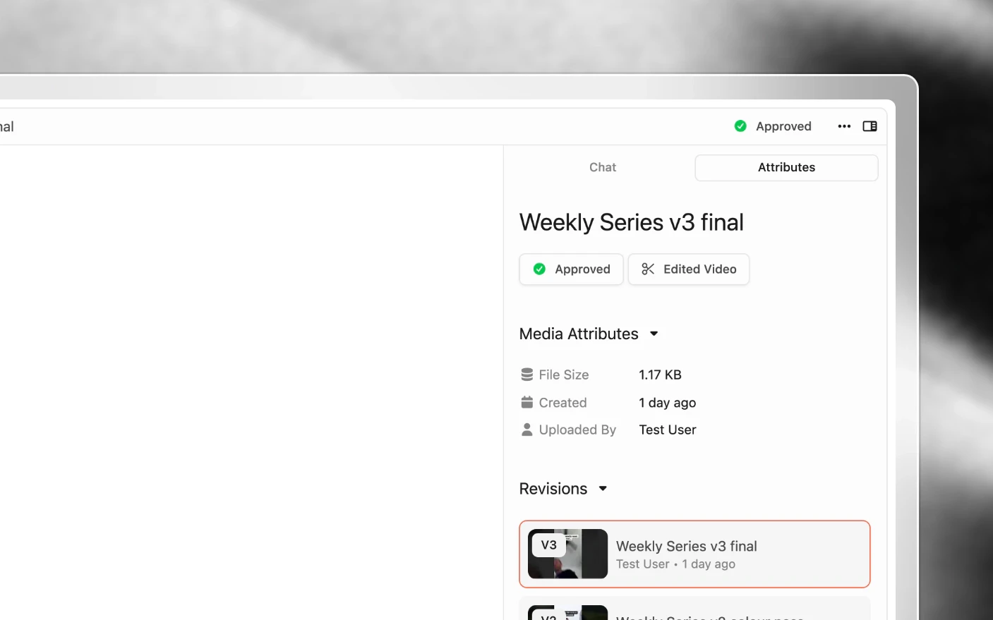 A media file open for review, with its versions listed in the attributes panel