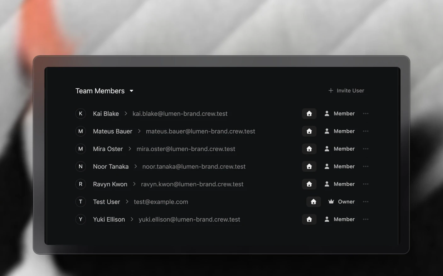 The team list in organization settings: each member, their role, and whether this is their home organization