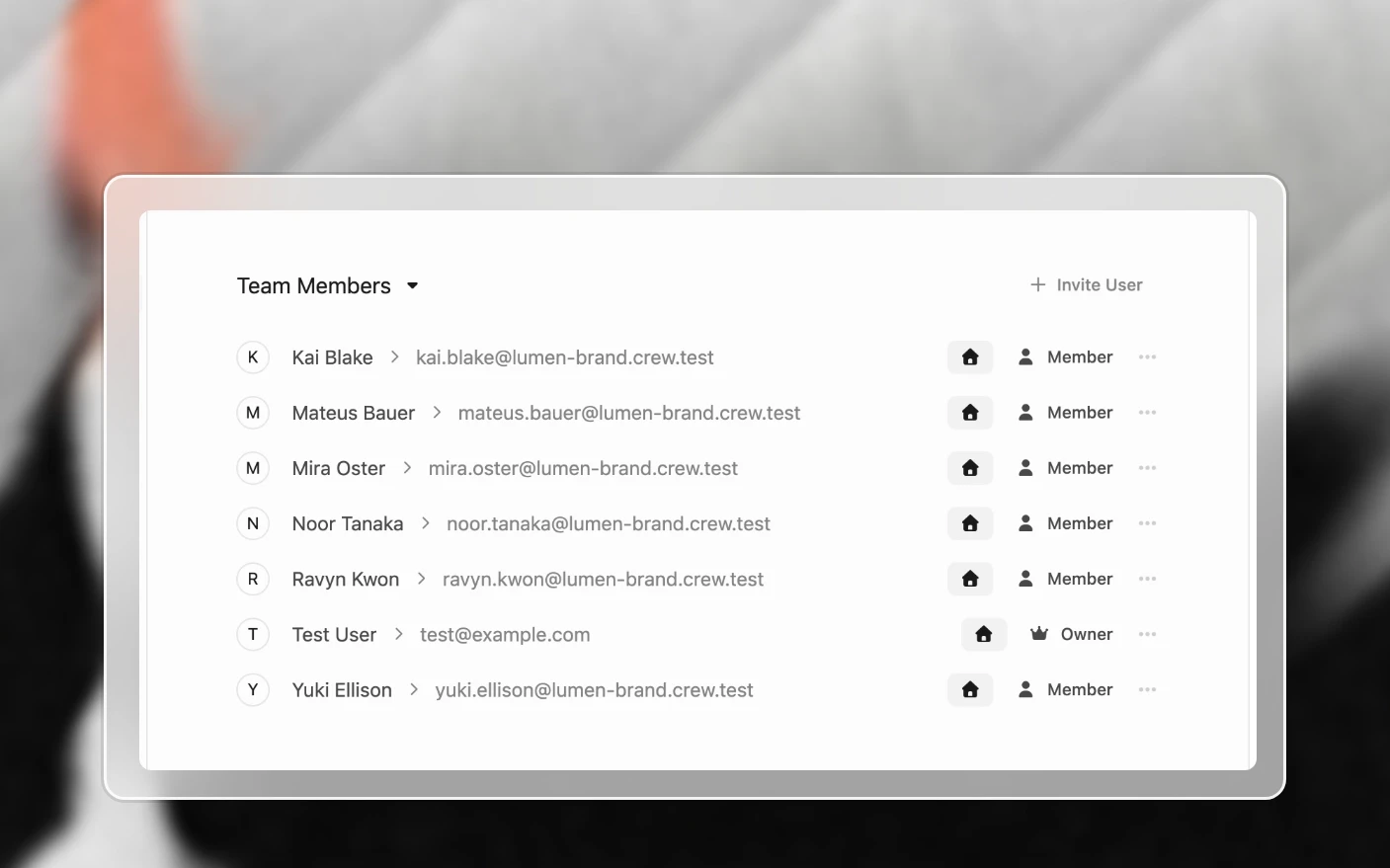 The team list in organization settings: each member, their role, and whether this is their home organization