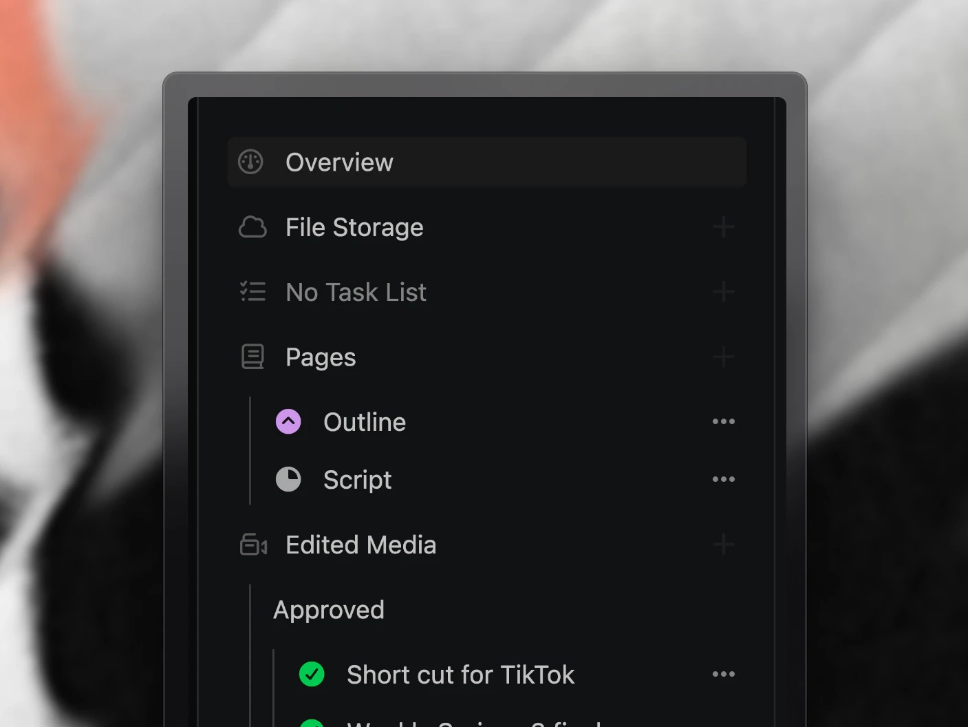 A project's explorer, with its task list, pages, edited media, packaging, posts and share links in one place