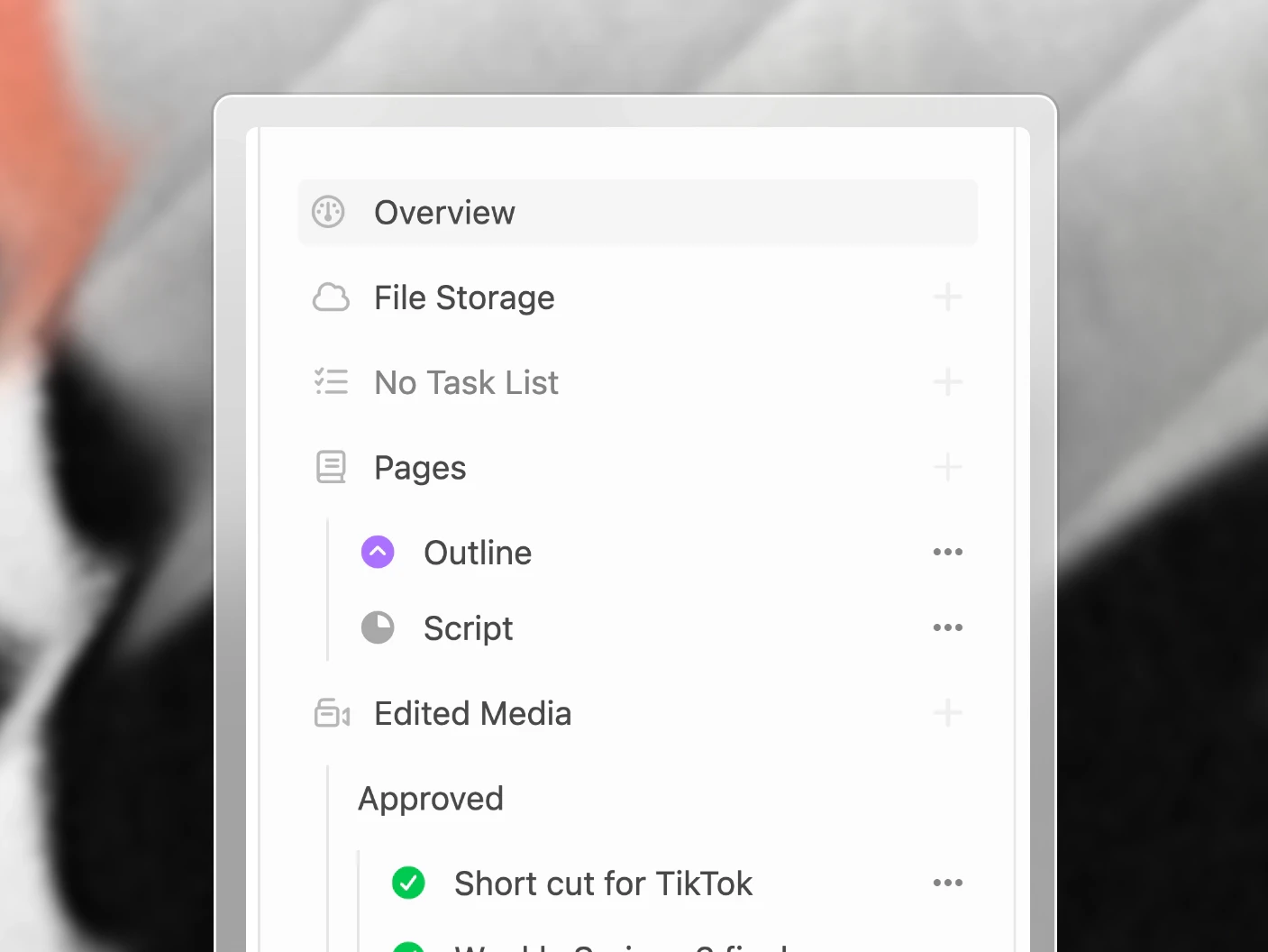 A project's explorer, with its task list, pages, edited media, packaging, posts and share links in one place